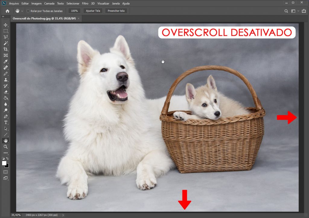 Imagem ajustada à visualização da janela do documento e Overscroll do photoshop desativado.