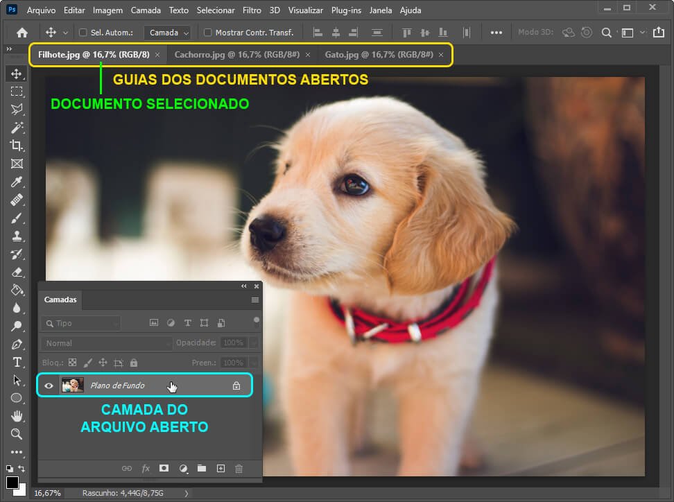 Arquivos como criar gif - PhotoPro Cursos Online